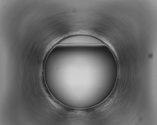 X0000091470437200708161131