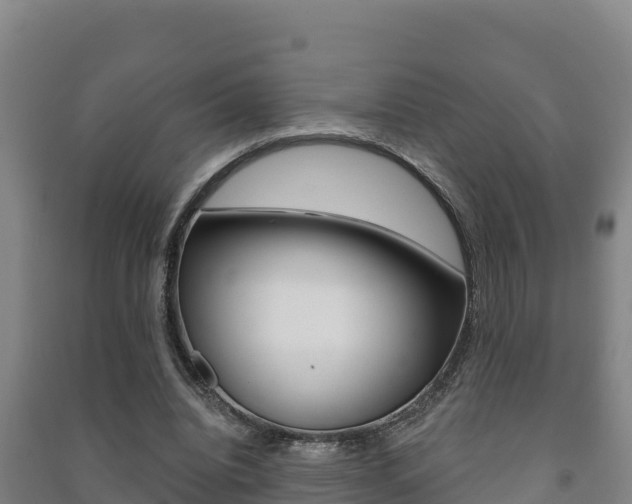 X0000091470440200708161131