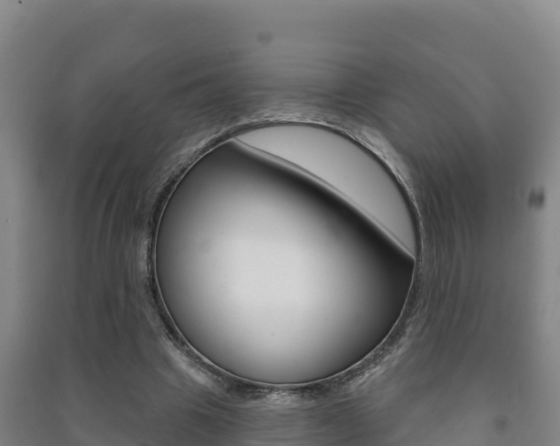 X0000091470441200708161131
