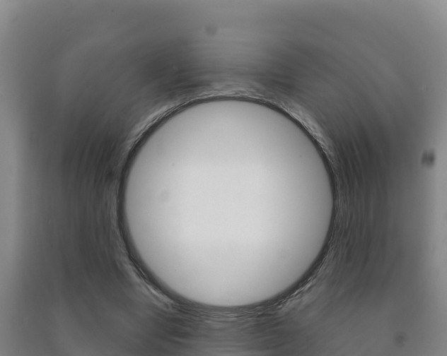 X0000091470442200708161131