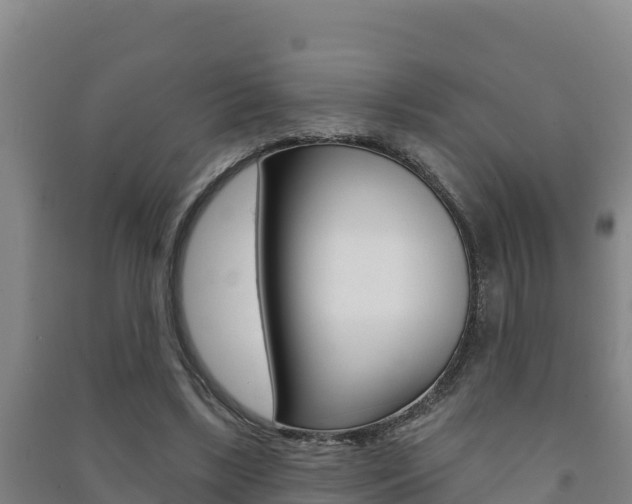 X0000091470443200708161131