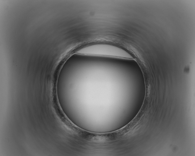 X0000091470444200708161131