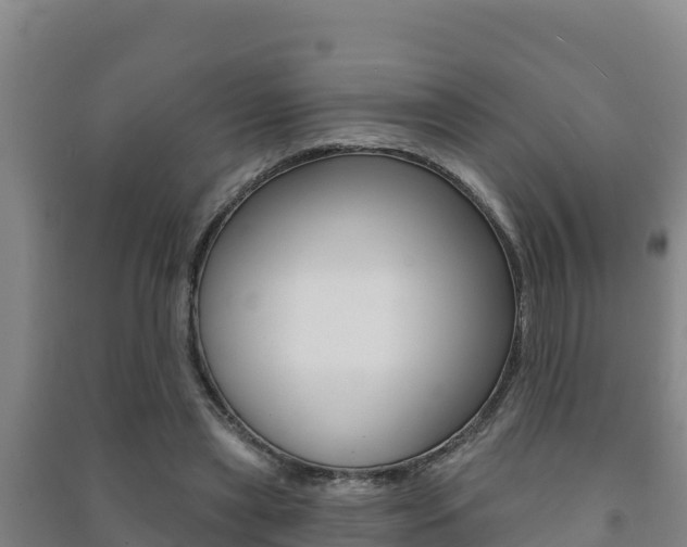 X0000091470445200708161131