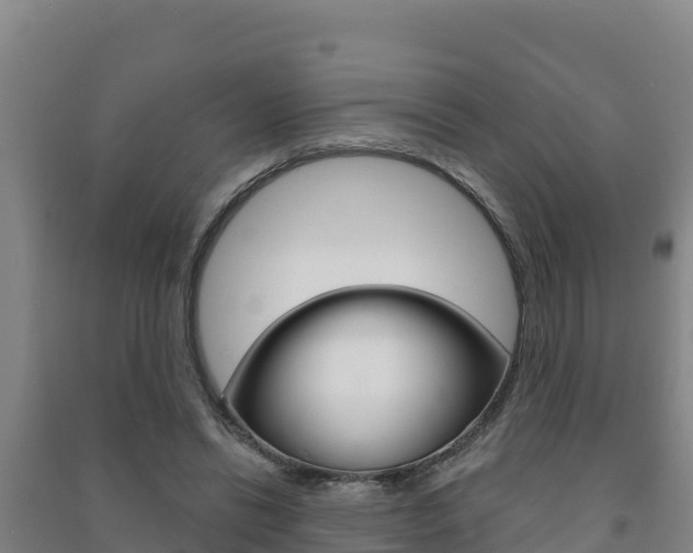 X0000091470446200708161131