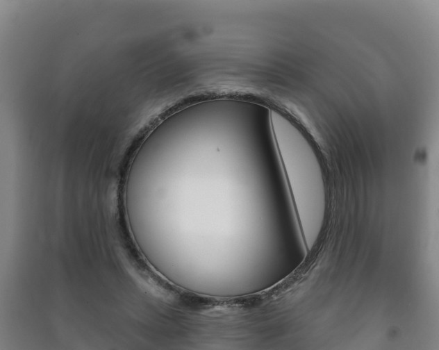 X0000091470447200708161131