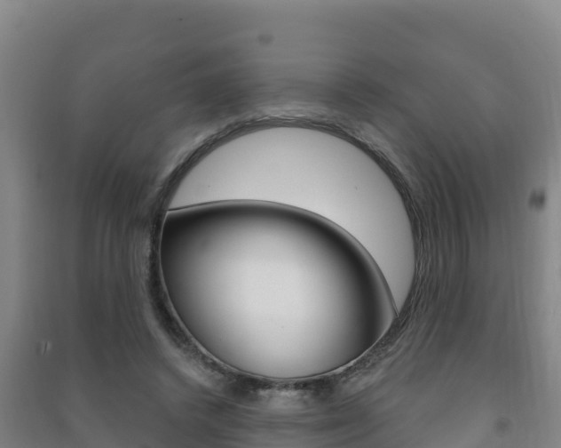 X0000091470448200708161131