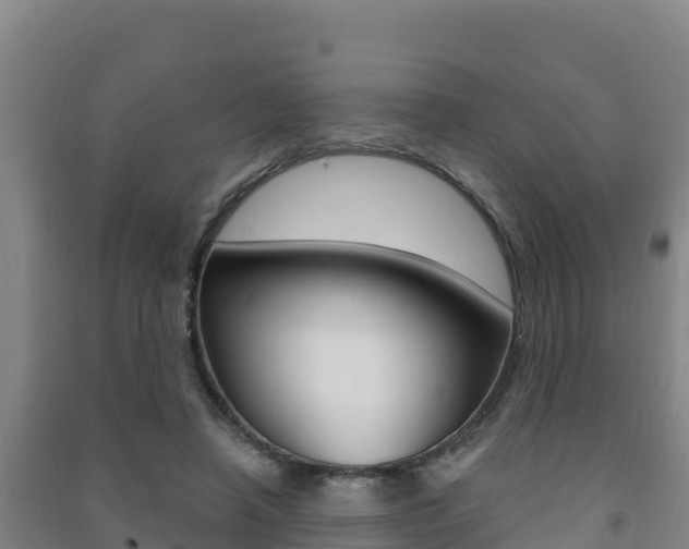 X0000091470450200708161131