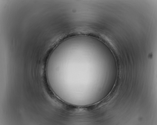 X0000091470451200708161131