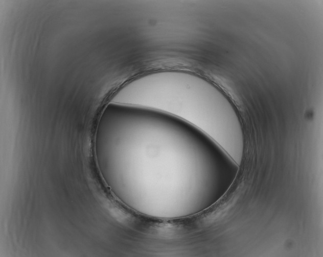 X0000091470453200708161131