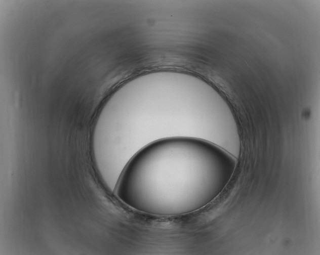 X0000091470454200708161131