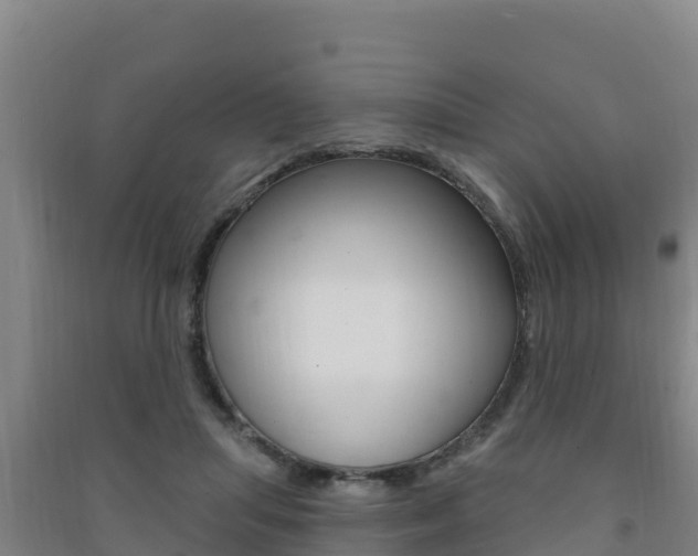 X0000091470455200708161131