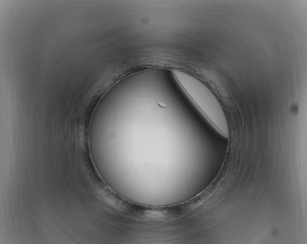 X0000091470457200708161131
