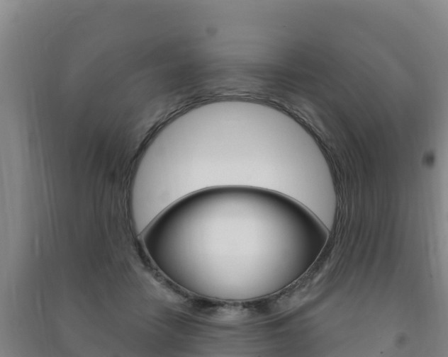 X0000091470458200708161131