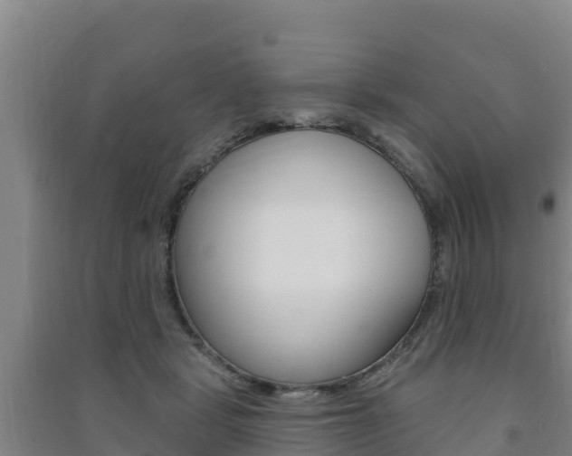 X0000091470461200708161131