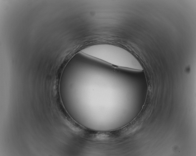 X0000091470462200708161131