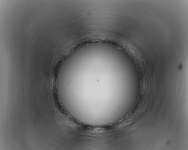 X0000091470463200708161131