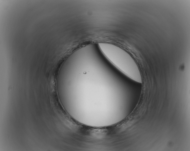 X0000091470465200708161131