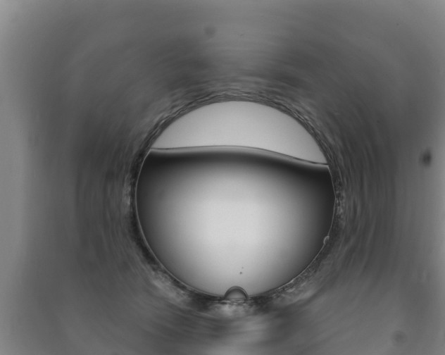 X0000091470466200708161131