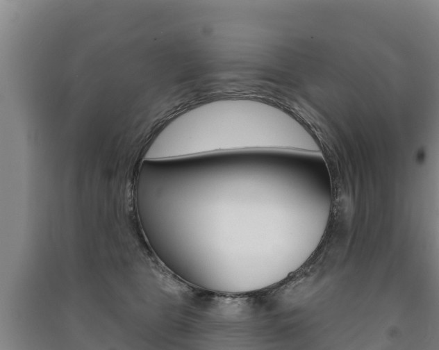 X0000091470469200708161132
