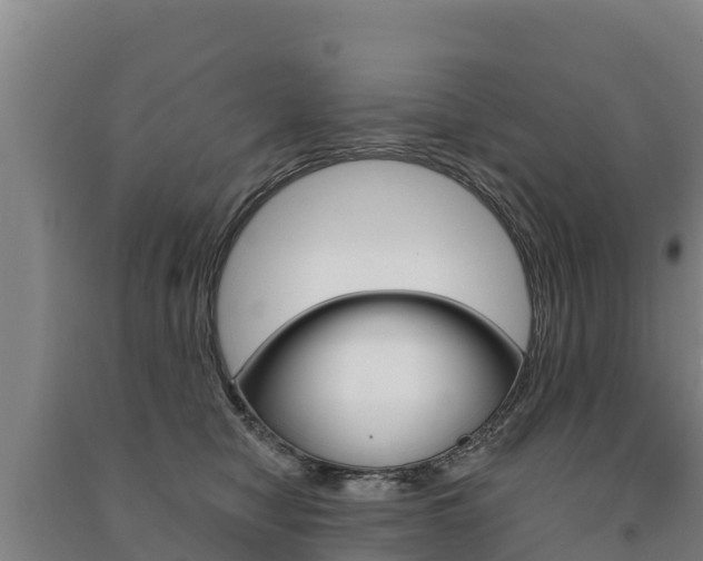 X0000091470470200708161132