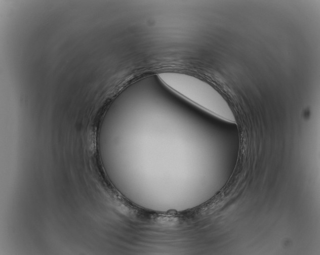 X0000091470471200708161132