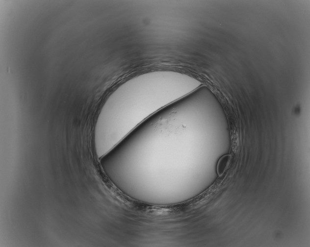 X0000091470472200708161132