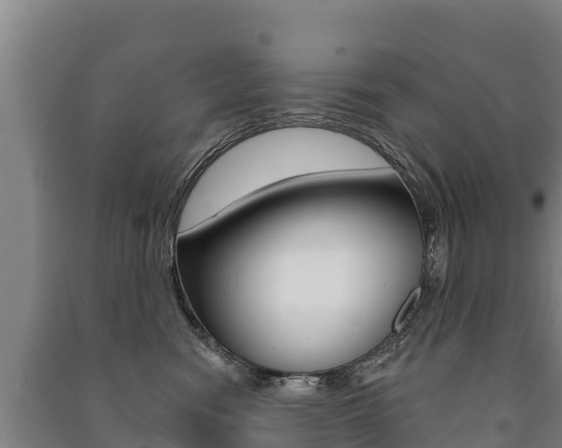 X0000091470474200708161132