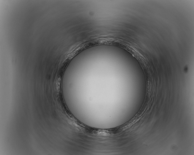 X0000091470475200708161132