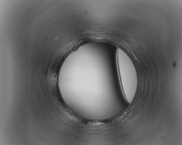 X0000091470476200708161132