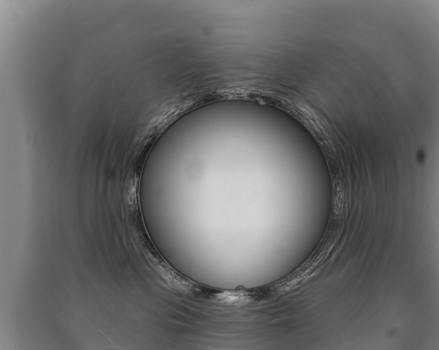 X0000091470477200708161132