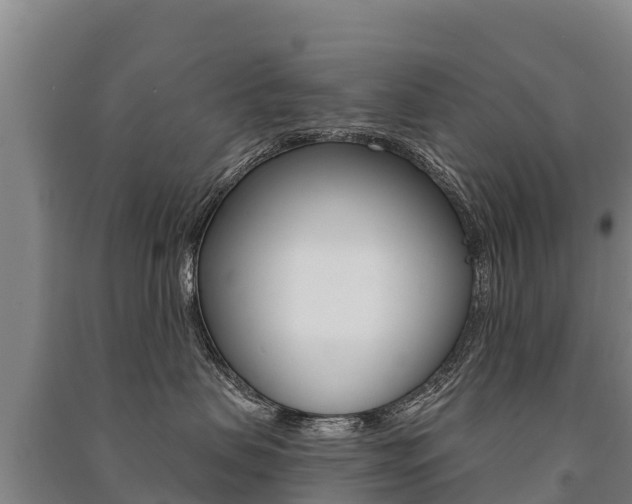 X0000091470479200708161132