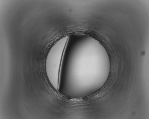 X0000091470480200708161132