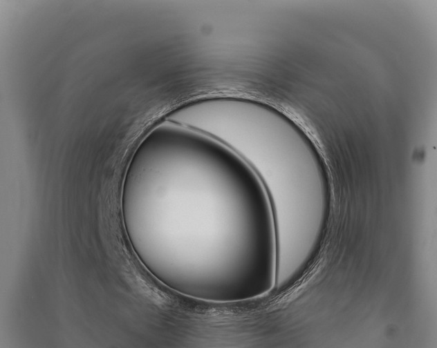 X0000091470481200708161131