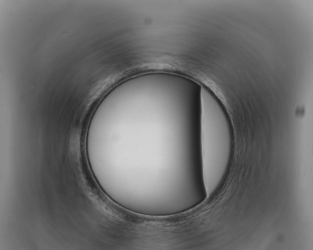 X0000091470482200708161131