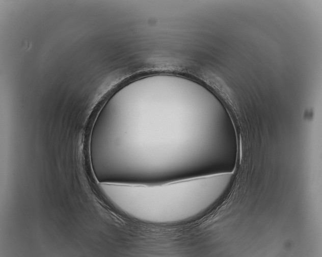 X0000091470483200708161131