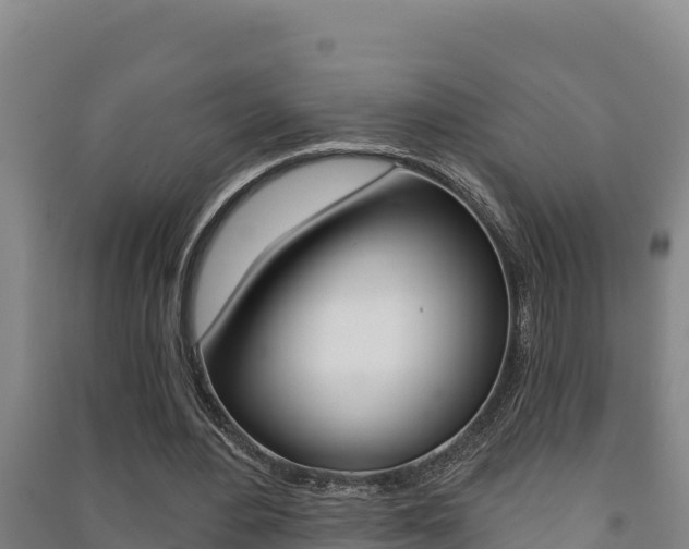 X0000091470484200708161131