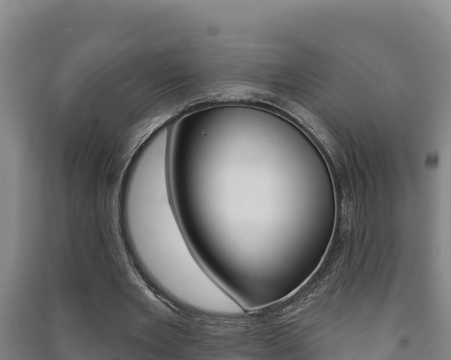 X0000091470485200708161131