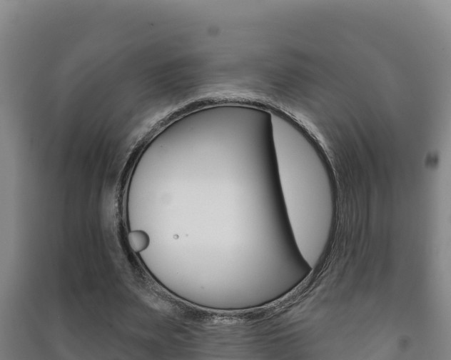 X0000091470487200708161131