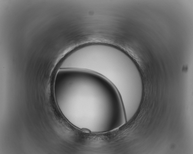 X0000091470488200708161131