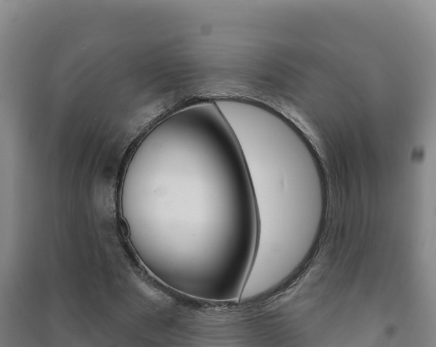 X0000091470489200708161131