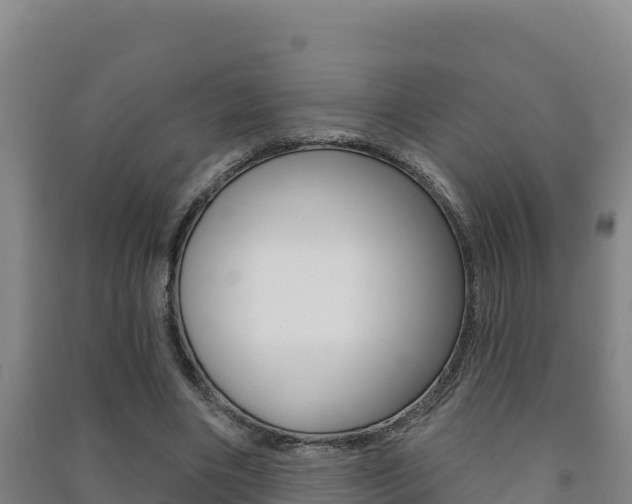 X0000091470490200708161131