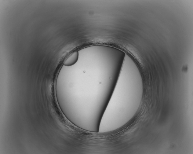 X0000091470491200708161131
