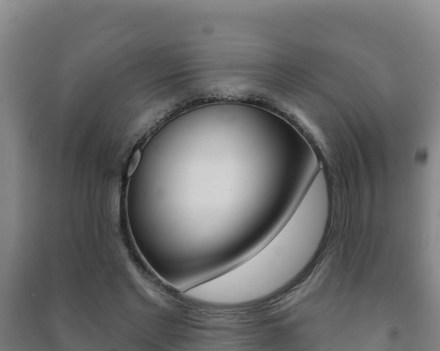 X0000091470493200708161131