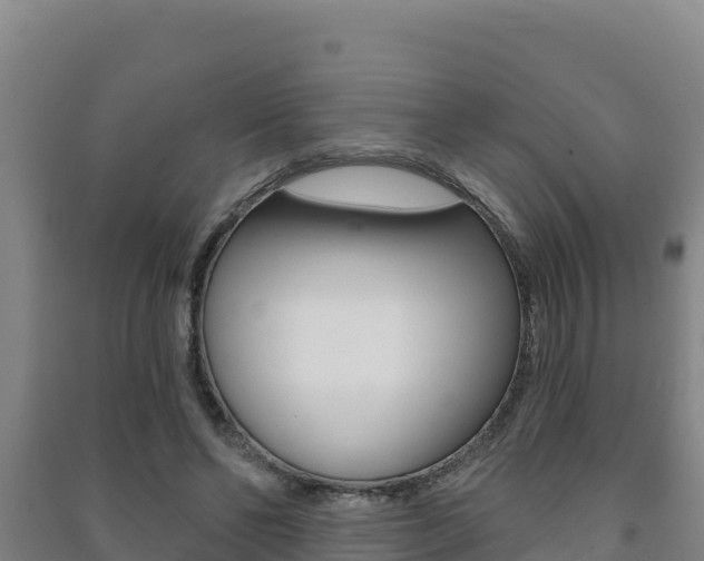 X0000091470494200708161131