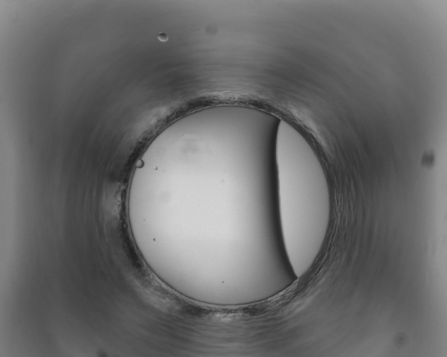 X0000091470495200708161131