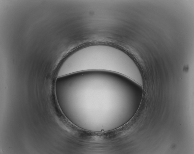 X0000091470496200708161131