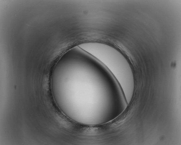 X0000091470497200708161131