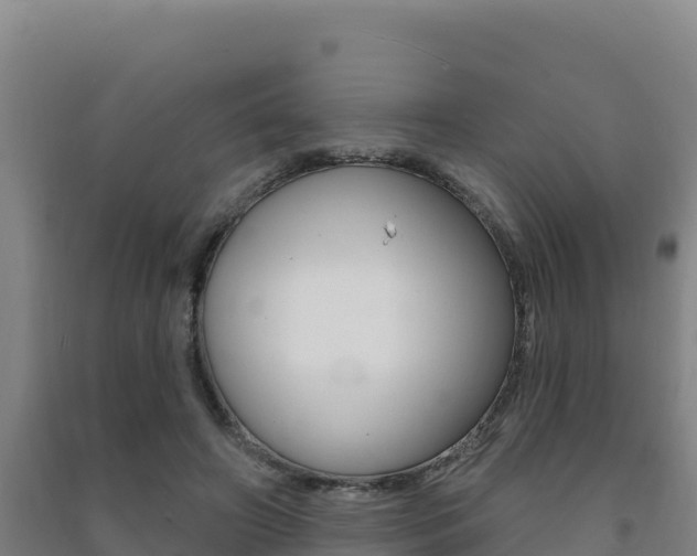 X0000091470498200708161131