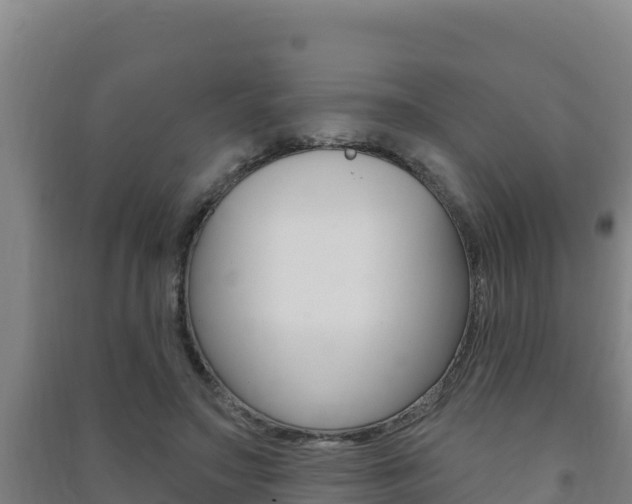 X0000091470499200708161131