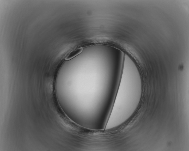X0000091470501200708161131